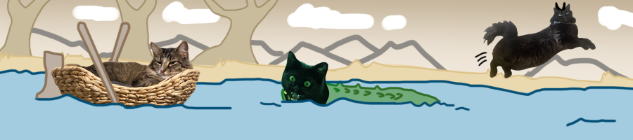 crocodile cat + MORE in river
