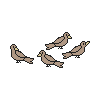 Flock of Finches