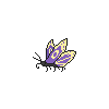Giant Purple Butterfly