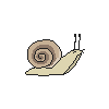 Tan Mega-Snail