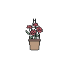 Hanging Red Carnation Pot