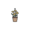 Hanging Yellow Carnation Pot