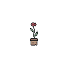 Tiny Red Carnation Pot