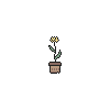 Tiny Yellow Carnation Pot