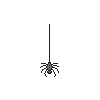 Little Brown Spider