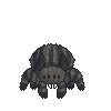 Brown Trapdoor Spider