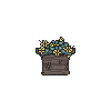 Yellow Wildflower Box