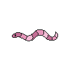 Giant Burrowing Pinkworm