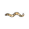 Giant Burrowing Goldworm