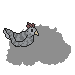 Grey Chicken on Head