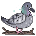 Pigeon Leafduck