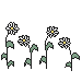 Patch of Daisies