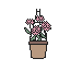 Hanging Pink Carnation Pot