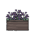 Large Violet Planter