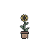 Tiny Sunflower Pot