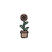 Tiny Dark Sunflower Pot