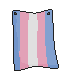 Hanging Trans Flag