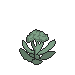 Broccatli Plant