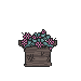 Pink Wildflower Box