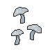 Snowcap Mushrooms