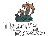 tigerlily meadow